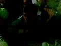 Gioco cn le carte!.mp4