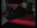Elmo gets tipsy