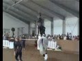 Hohenhameln - Kür 1