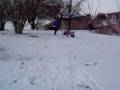 Playing-in-the-Snow