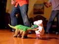 videos de Salsa class of verdo
