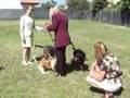 Bloodhound video