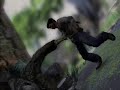 Uncharted: Drake\