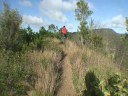 Mountain Unicycling [Table Top]