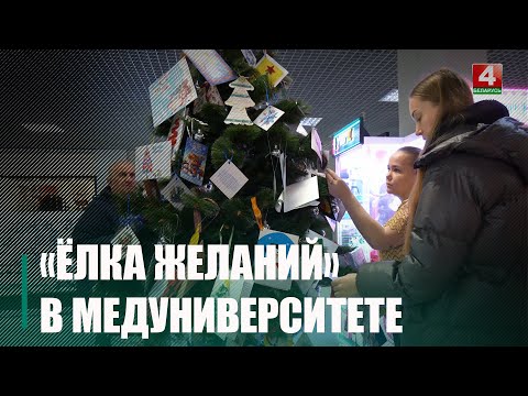 Благотворительную акцию «Елка желаний» запустил Гомельский медуниверситет видео