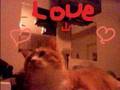 Dewey,My three Leged Friend