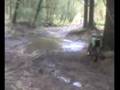 102 anne laure 125 kx caius