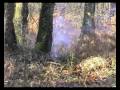 2 belles explosions p�tard artisanal made in la foir\