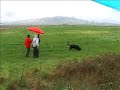 Baly da Qta. do Negrelho - RCI III
