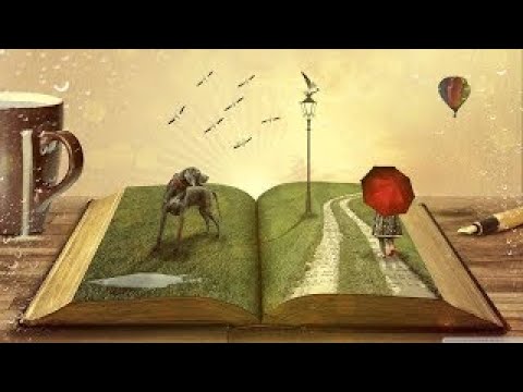動画