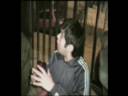 Holyshit Confidencial - Entrevista RALL  1/2