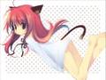 videos de Special Days - Special A [Full]