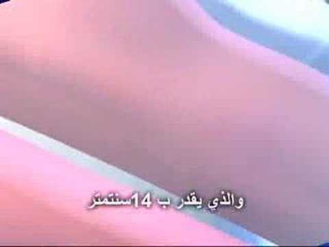 مص الزب