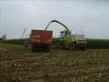 ensilage 2007