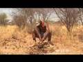 YouTube - Survival in the desert - Ian Wright in the Kalahari ...