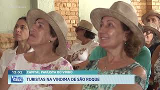 Capital Paulista do Vinho: Turistas na Vindima de São Roque
