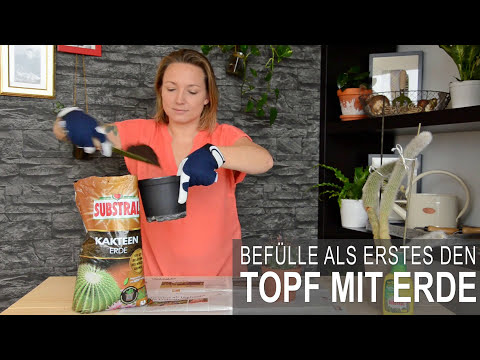 Gewusst wie - #6 Kakteen umtopfen  | Liebe Deinen Garten
