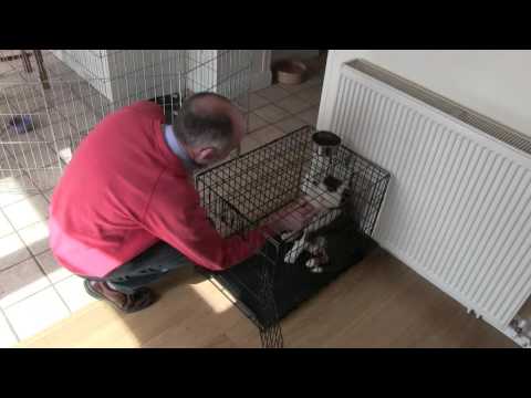 Part 1 Crate games first session