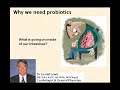 Why we should be taking probiotics