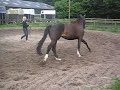 sanne en Vitel Kristel @longeren