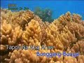 BONGGA KA DAY-KARAOKE