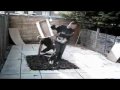 real-big.html