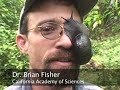 Dr. Brian Fisher - Snail Attack