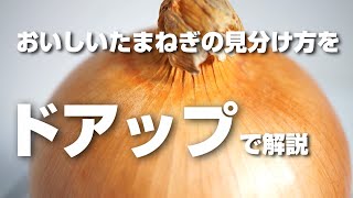 たまねぎの重さは1個 1玉で何グラム 大きさやカロリーは 生活知恵袋