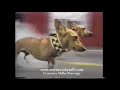 Miller Lite Wiener Nationals Commercial