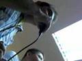 videos de Karaoke CanFalguera - Los Divos