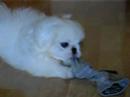 suet-8-of-8-19-oct-07.html