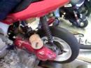 gilera dna