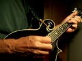 DeArmond Mandolin Pickup Demo