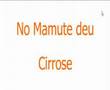 Mamute