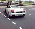 lamborgini gallardo lamborgini gallardo