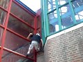 Lol Parkoer 7