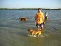 Oliver & Maddy at the doggy beach