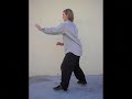 Hsing I / xingyiquan