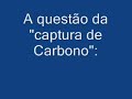 Deserto Verde - a questão da água