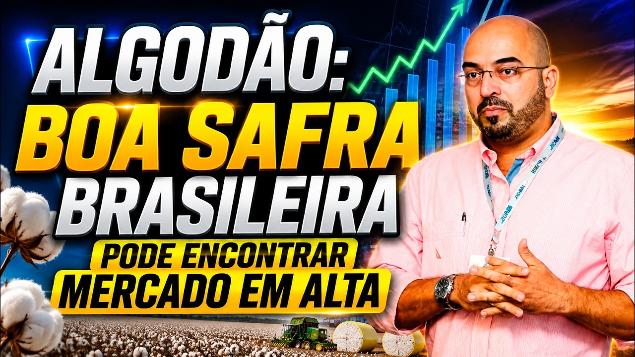 Algodão: boa safra brasileira pode encontrar Mercado em Alta.