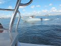 Twin Yamaha 350hp Four-stroke vs. Twin Mercury 300hp Verado Twin Yamaha 350hp Four-stroke vs. Twin Mercury 300hp Verado