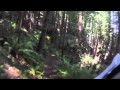 Mendocino Woodlands Mountain Bike Mainly ...