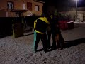 TOSA INU DEFENDING THE OWNER