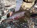 Fly fishing North Carolina and Alaska