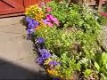 My Garden