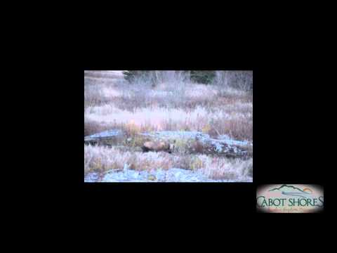 YouTube Preview Image