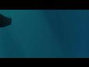 3D Animation Test - Submarines 3D Animation Test - Submarines