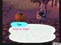 Animal Crossing Halloween