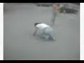 Upisa se Upisa se