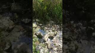 علار التحتا خربه التنور بلد العيون والقلعه وبواقي المنازل علار التحتا خربه التنور بلد العيون والقلعه وبواقي المنازل